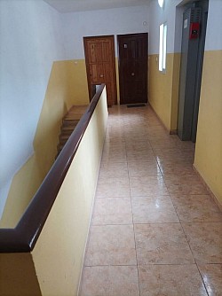 Flooring and painting package deals