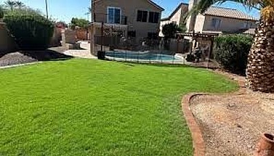 Turf installation/Yard maintenance