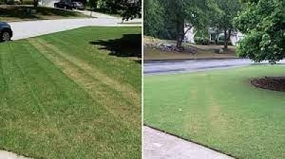 Yard maintenance