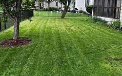Ljs Yard Work