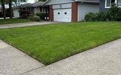 Yard Work