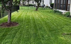 LJs lawn care maintenance